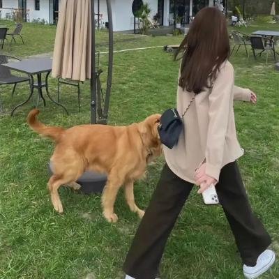 经典回看